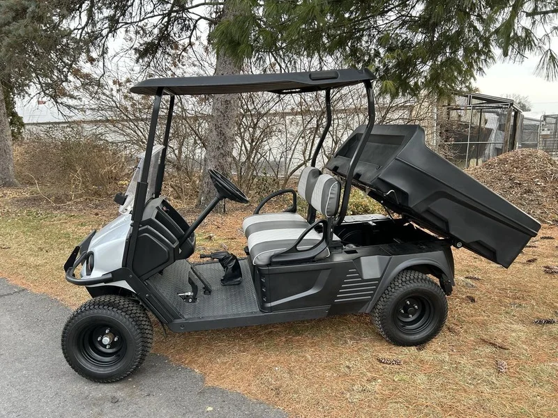 2022 Cushman Hauler 1200 thumb 4