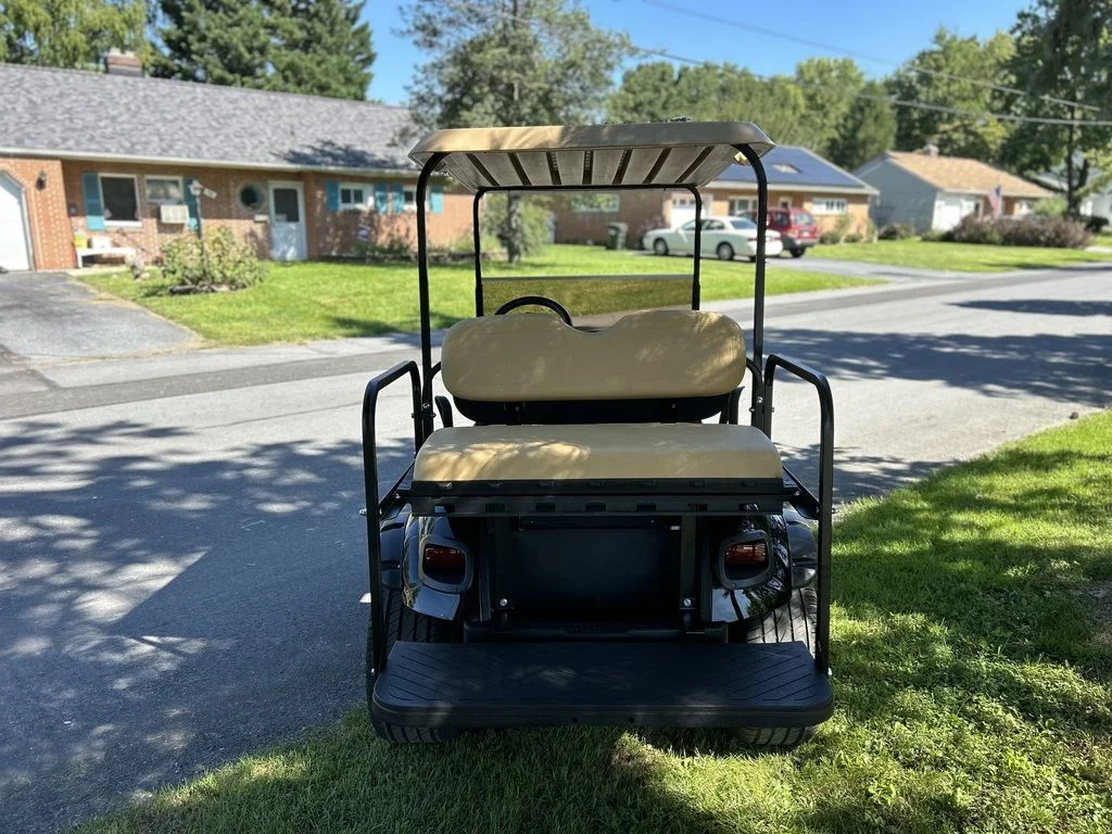 2016 E-Z-GO Freedom thumb 4