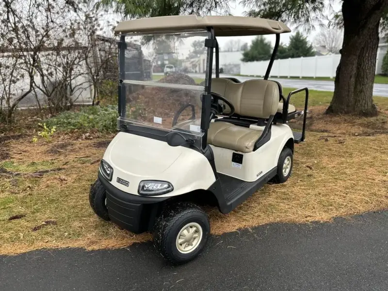2019 E-Z-GO RXV thumb 1