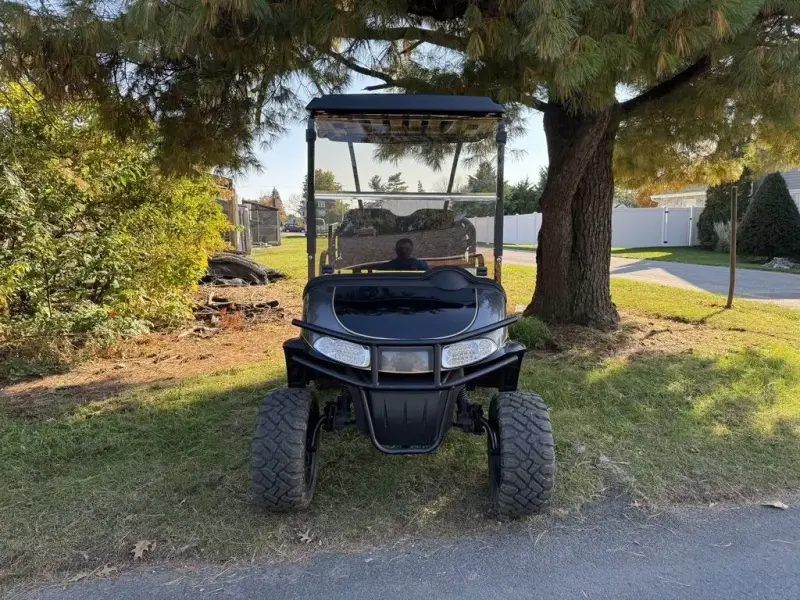 2018 E-Z-GO RXV thumb 2