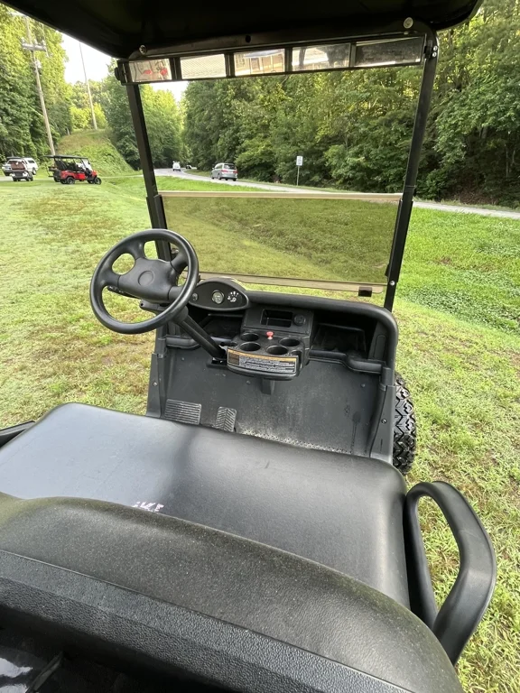 2016 E-Z-GO RXV thumb 4