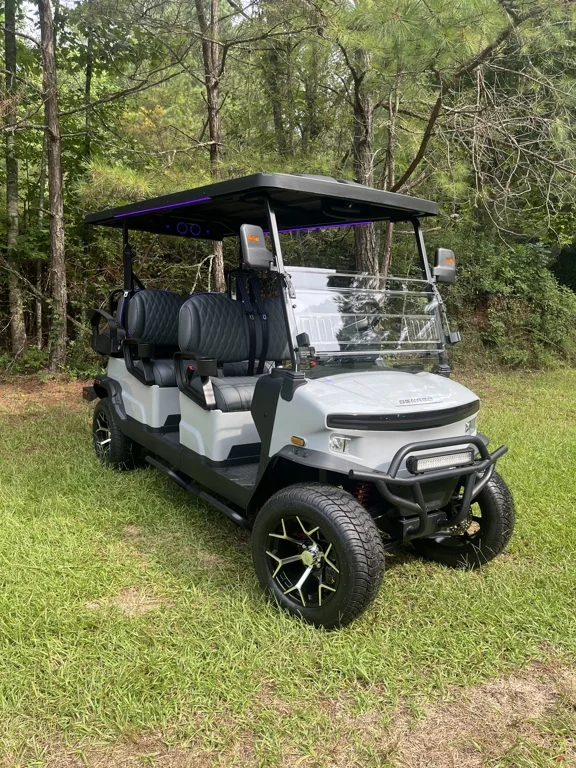 2026 Denago Rover XL 6 photo 1