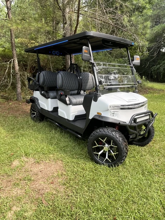 2026 Denago Rover XL 6 photo 1