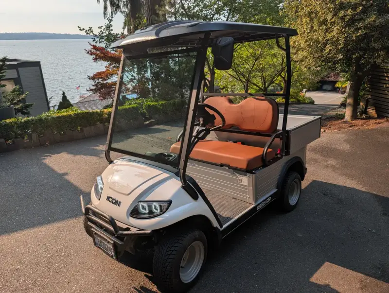 2025 ICON i20S-HD White photo 1
