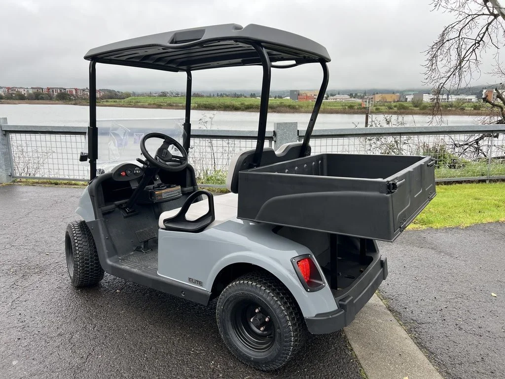 2020 E-Z-GO Freedom thumb 3