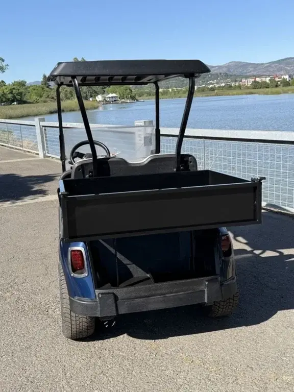 2020 E-Z-GO Freedom thumb 3