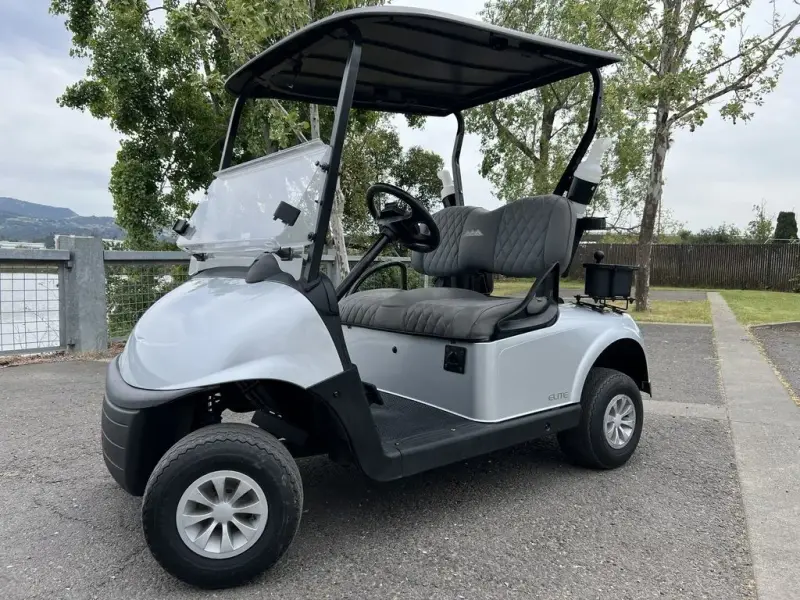 2022 E-Z-GO Freedom thumb 1