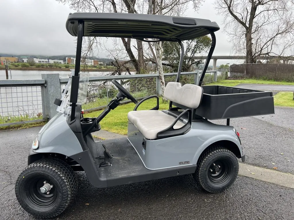 2020 E-Z-GO Freedom thumb 2