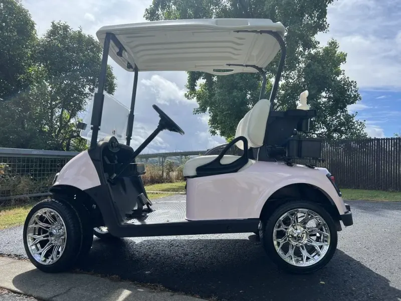 2021 E-Z-GO Freedom ELiTE Lithium photo 1