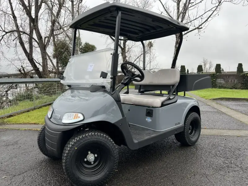 2020 E-Z-GO Freedom thumb 1