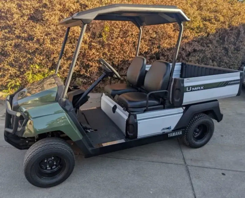 2025 Yamaha UMAX photo 1