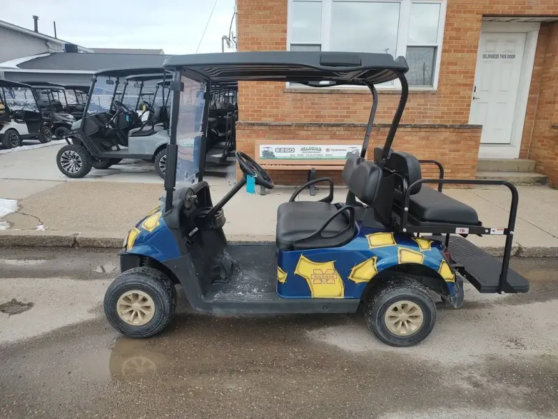 2018 E-Z-GO RXV photo 1