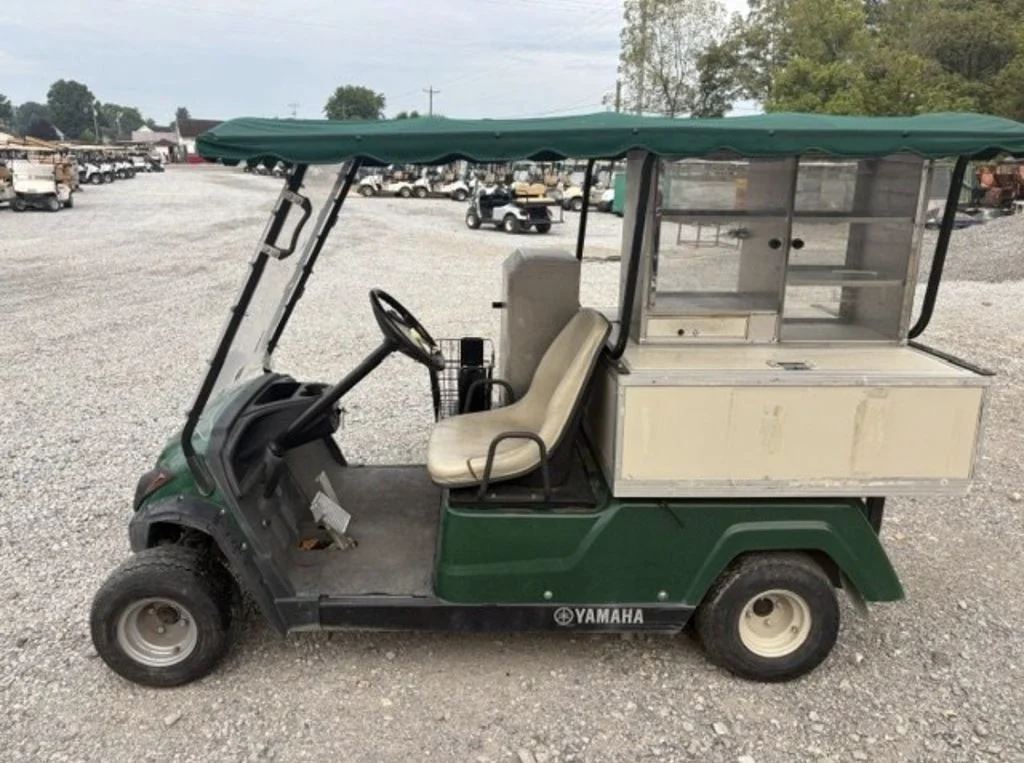 2013 Yamaha Fairway Lounge thumb 2