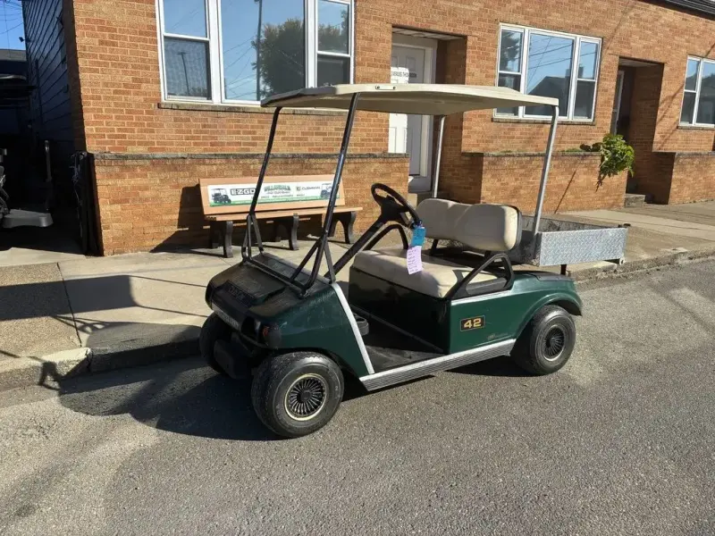 2010 Club Car DS photo 1