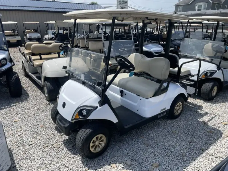 2020 Yamaha Drive QuieTech EFI photo 1