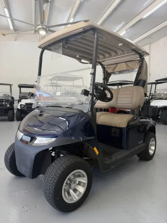 2024 E-Z-GO Freedom photo 1
