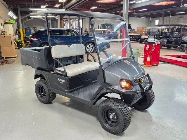 2026 Cushman 800X ELiTE thumb 3