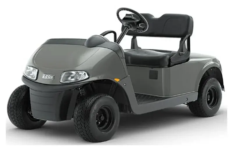 2023 E-Z-GO Freedom thumb 1