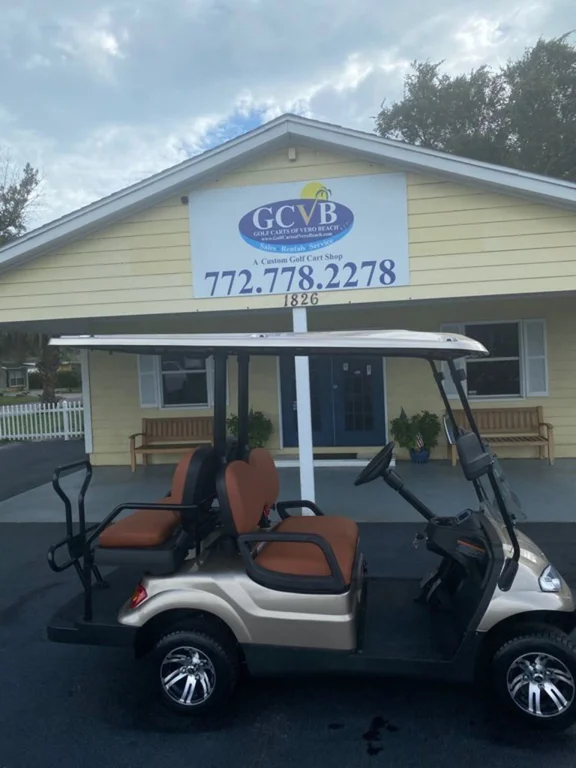 2021 Advanced EV 4 Passenger thumb 3