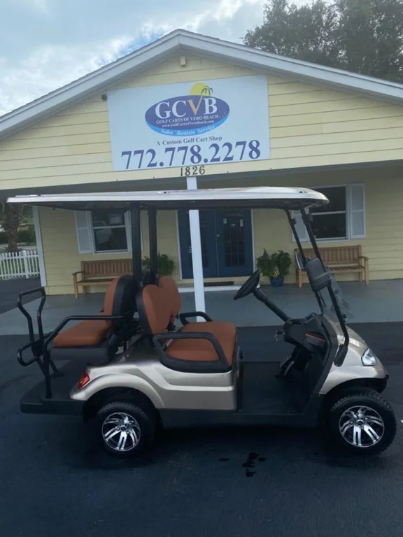 2021 Advanced EV 4 Passenger thumb 4