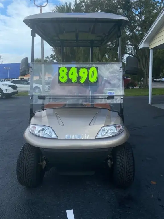 2021 Advanced EV 4 Passenger photo 1