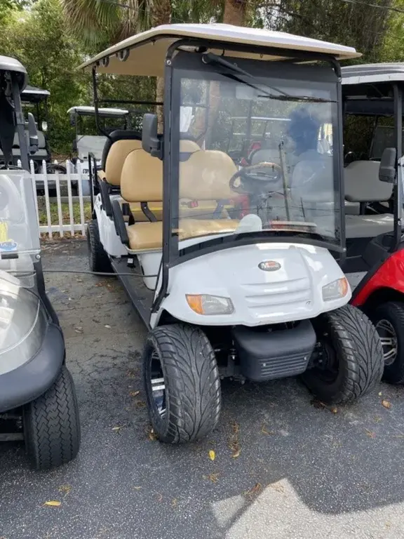 2015 Moto 6 Passenger Lifted photo 1