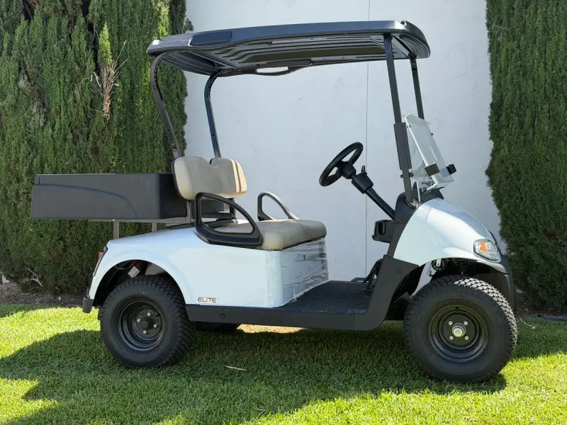 2021 E-Z-GO Freedom ELiTE Lithium thumb 1