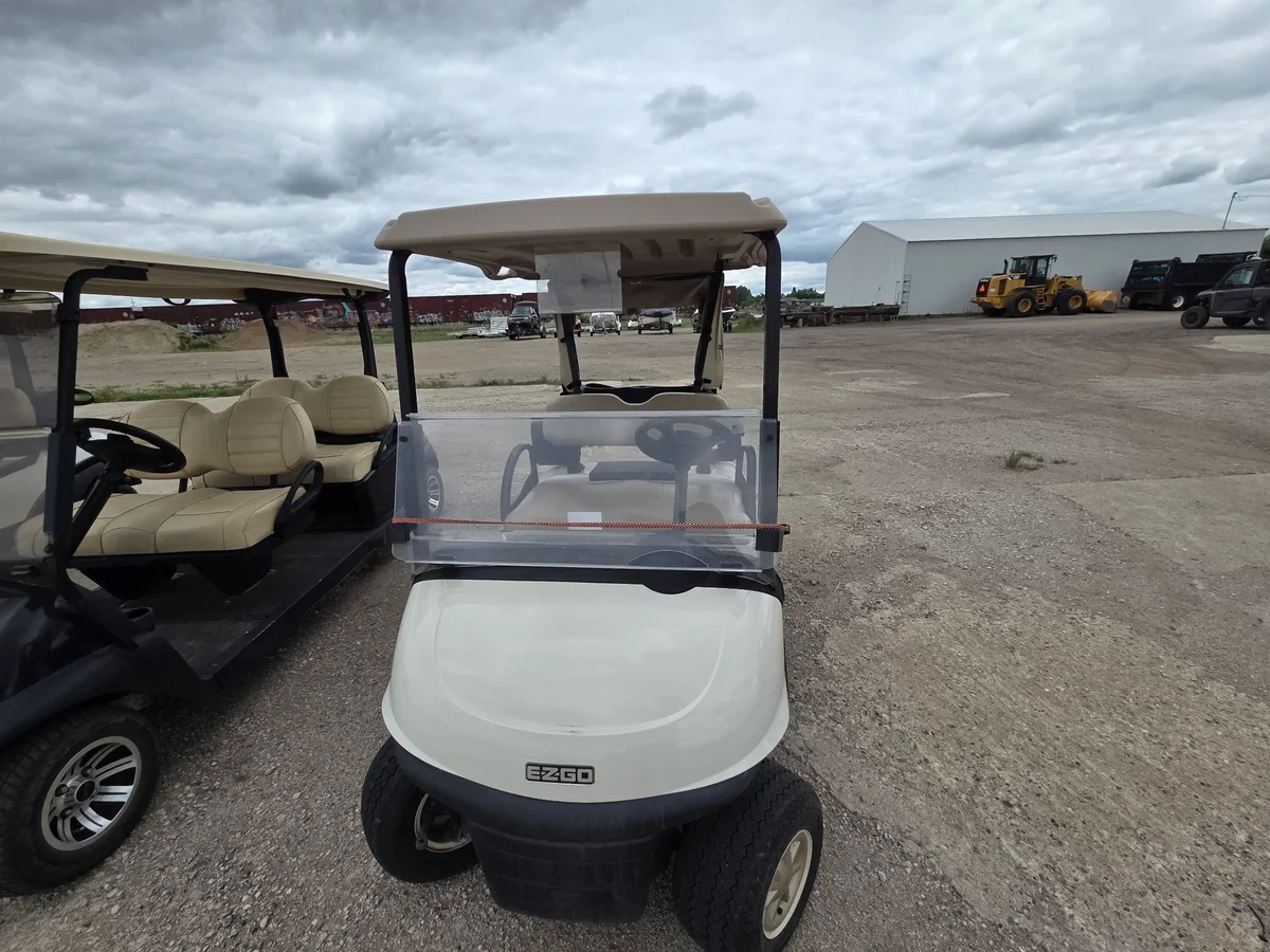 2018 E-Z-GO Freedom thumb 2