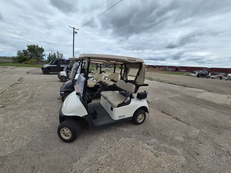 2018 E-Z-GO Freedom thumb 1