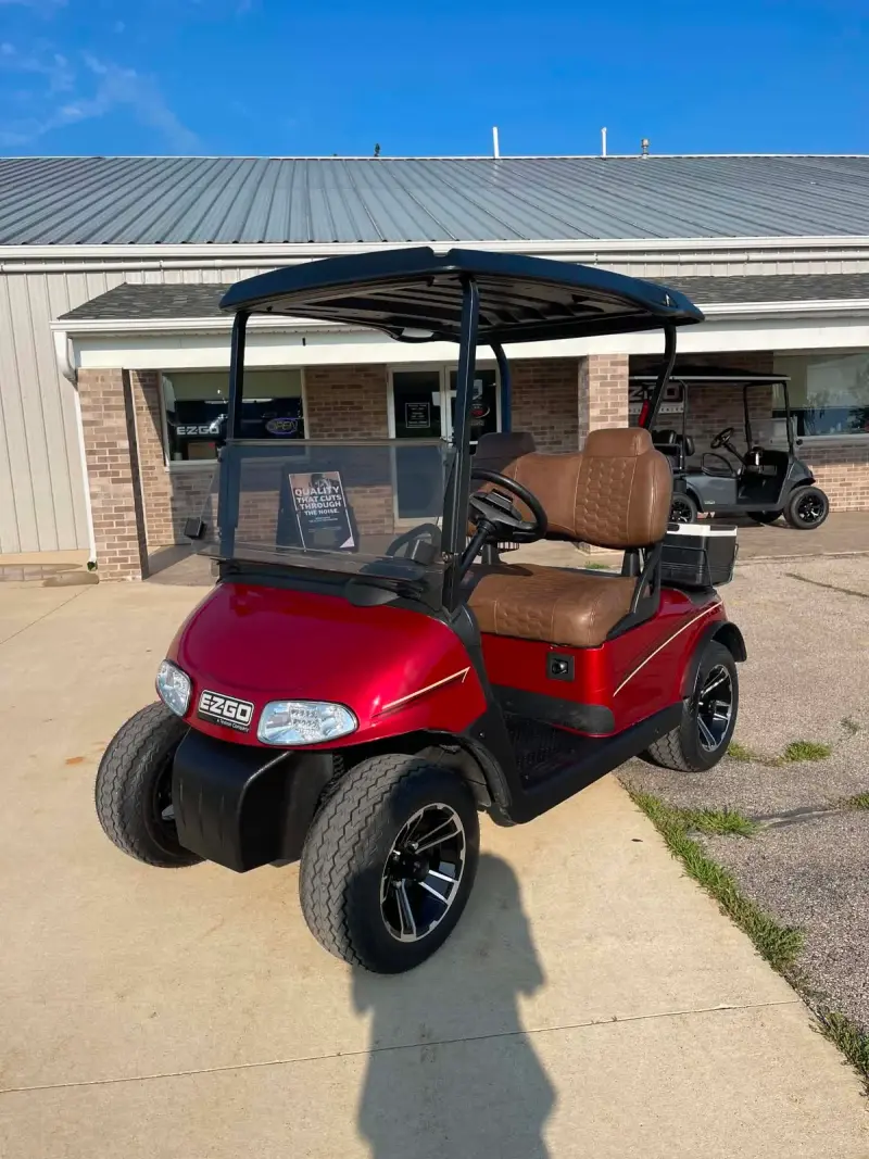 2008 E-Z-GO Freedom thumb 1