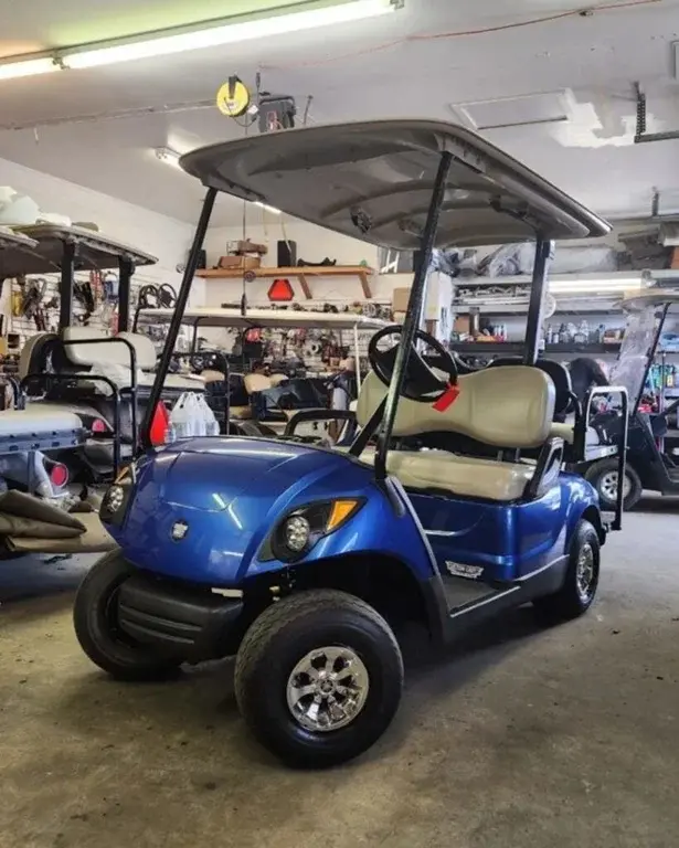 2015 Yamaha Drive