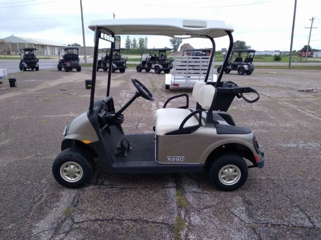 2014 E-Z-GO Freedom thumb 4