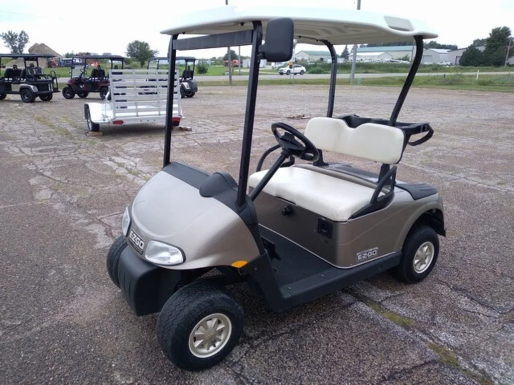 2014 E-Z-GO Freedom thumb 3