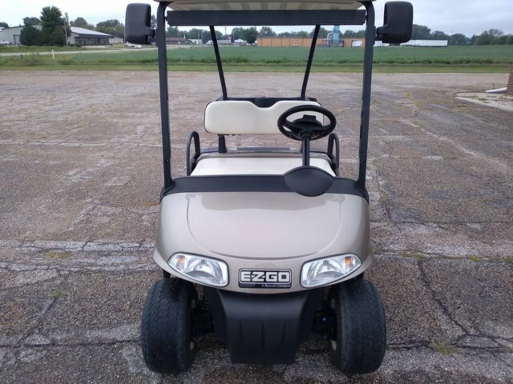 2014 E-Z-GO Freedom thumb 2