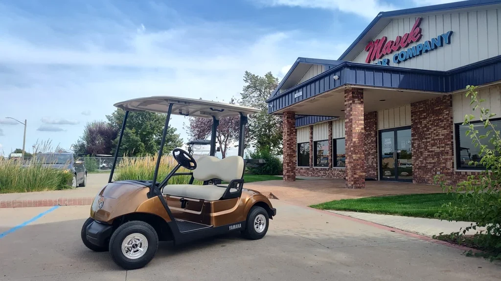 2020 Yamaha Drive2 photo 1