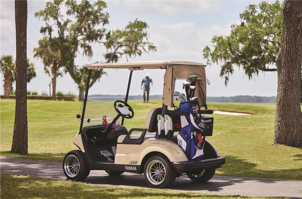 2019 Yamaha Drive2 QuieTech EFI photo 1