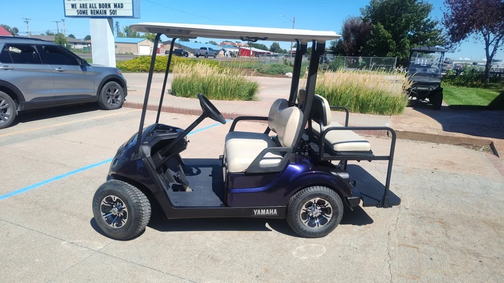 2019 Yamaha Drive2 QuieTech EFI thumb 2