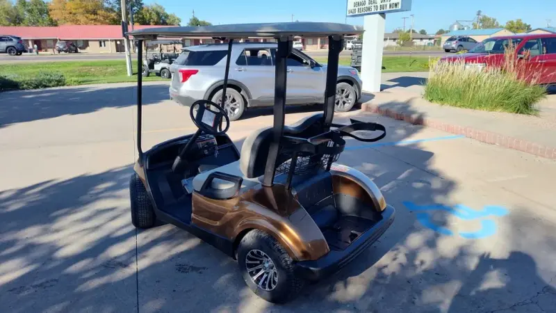 2014 Yamaha YDRA Golf Car thumb 3
