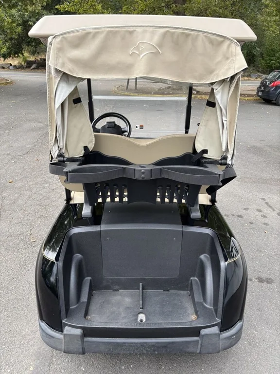 2020 E-Z-GO RXV ELiTE Lithium thumb 3
