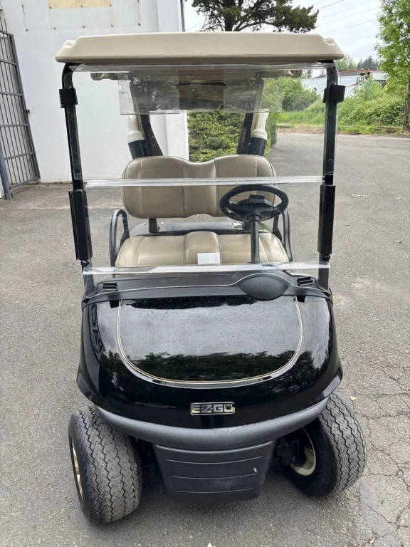 2020 E-Z-GO RXV ELiTE Lithium thumb 2