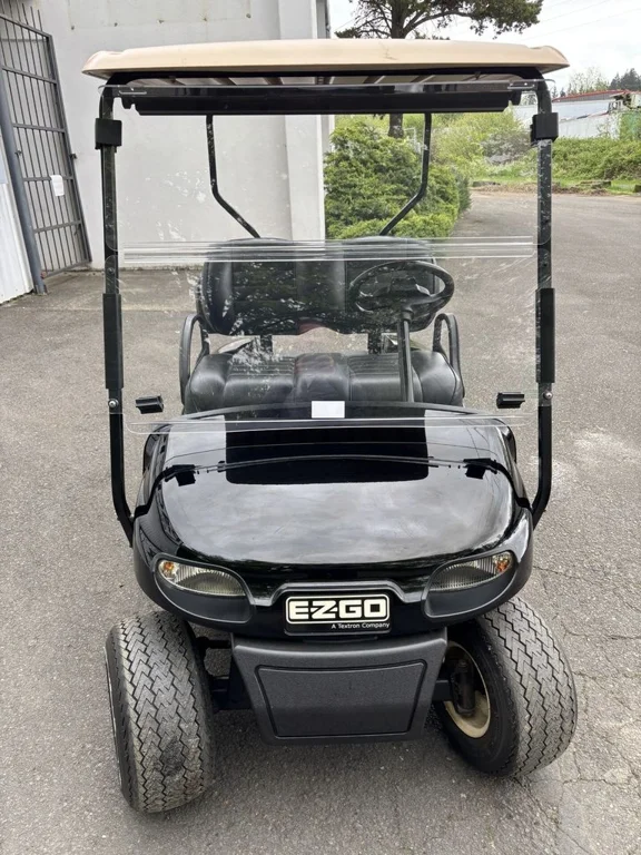 2016 E-Z-GO Freedom thumb 2