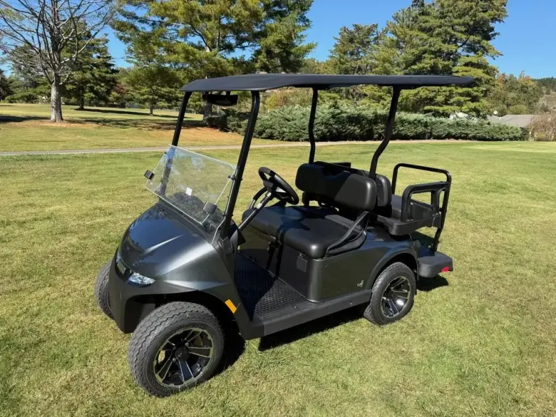 2026 E-Z-GO Freedom EX1 Gas photo 1