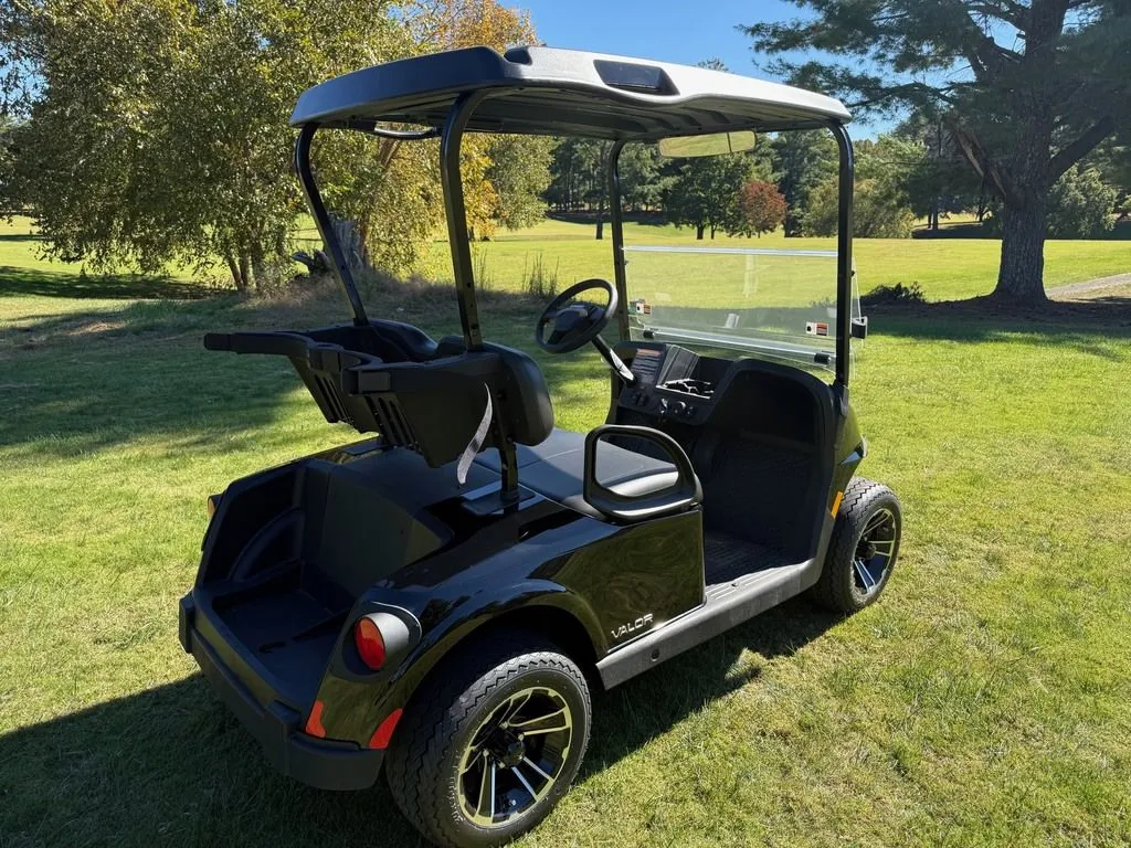 2026 E-Z-GO Freedom EX1 Gas thumb 4