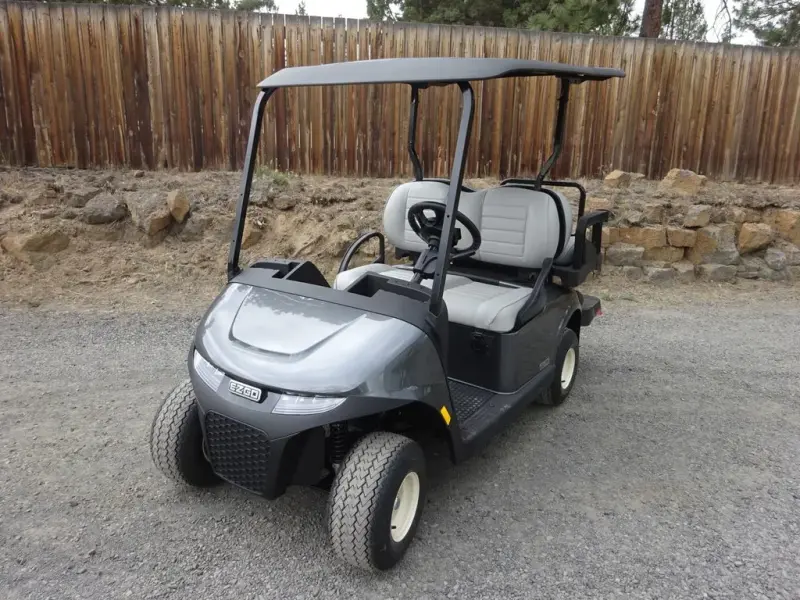 2025 E-Z-GO Freedom photo 1