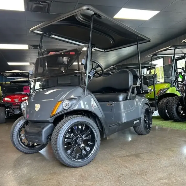2021 Yamaha Drive2 QuieTech EFI photo 1