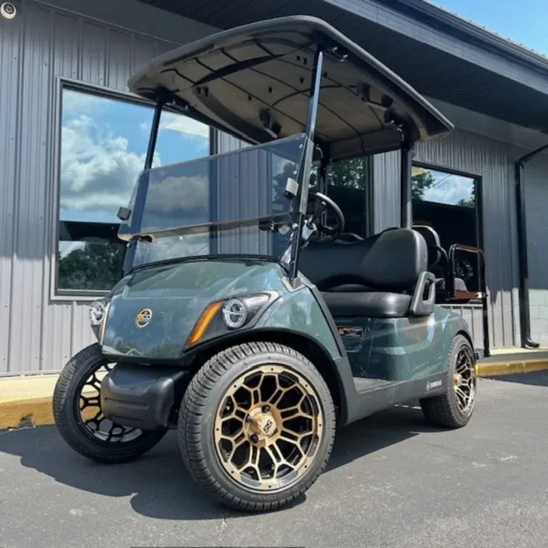 2020 Yamaha Drive2 QuieTech EFI thumb 1