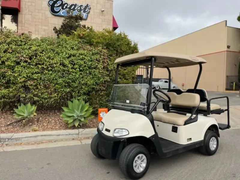 2020 E-Z-GO RXV thumb 1