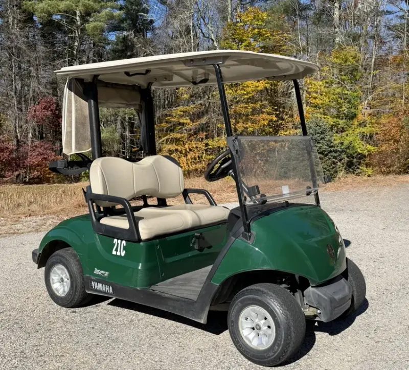 2019 Yamaha Just In!  EFI Fuel Injected G29 2 Passenger Golf C photo 1
