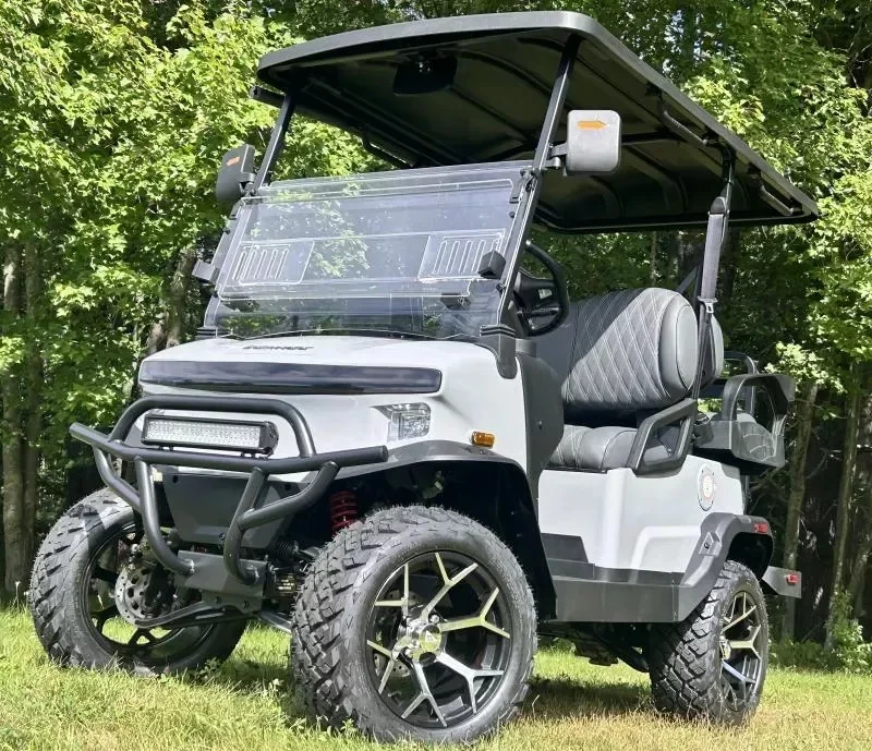 2026 Denago $219.69./Month ZERO DOWN! 0% APR Special! Denago N thumb 2