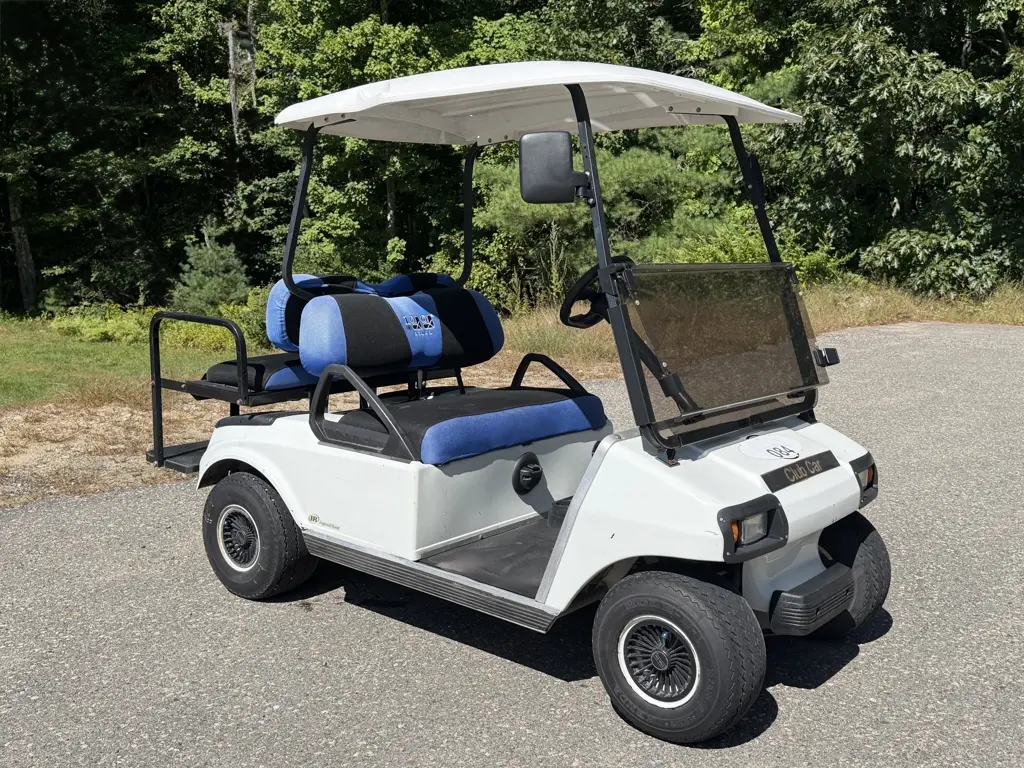 2011 Club Car DS thumb 3